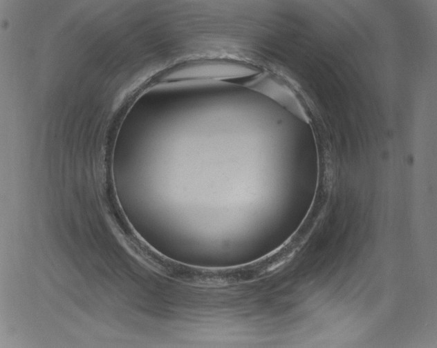 X0000081400677200702020321