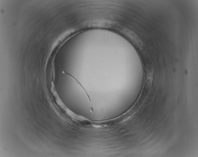 X0000081400678200702020321