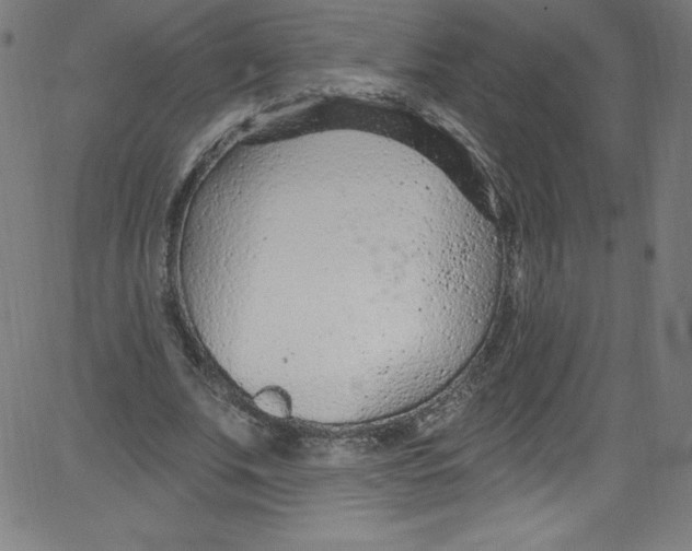 X0000081400679200702020321