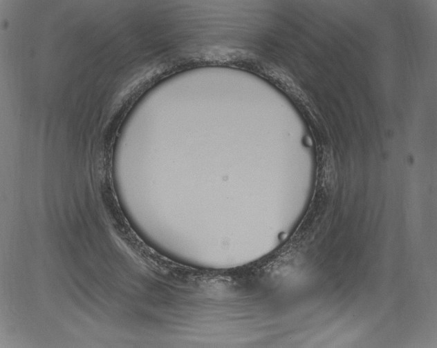 X0000081400683200702020321