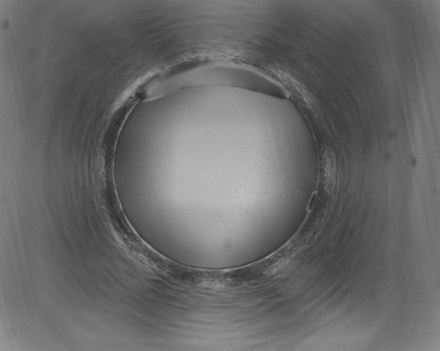 X0000081400684200702020321