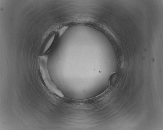 X0000081400685200702020321