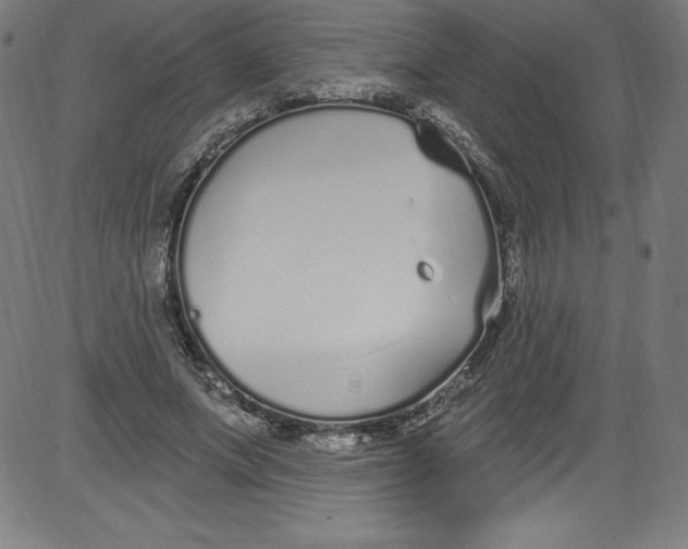 X0000081400687200702020321