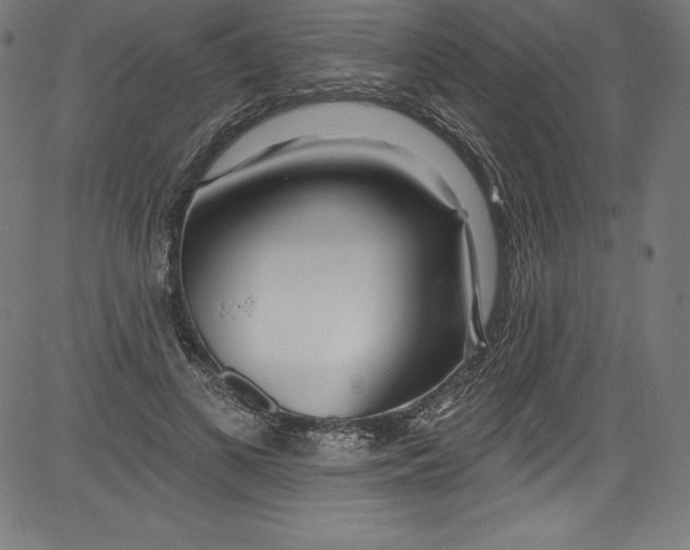 X0000081400693200702020321