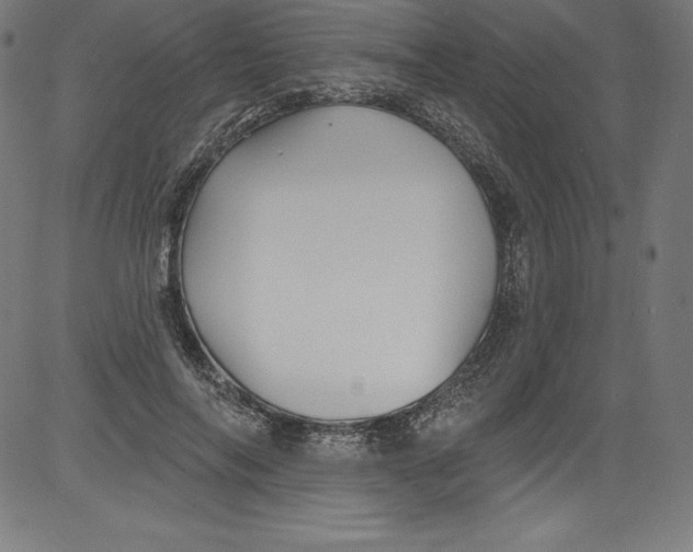 X0000081400694200702020321