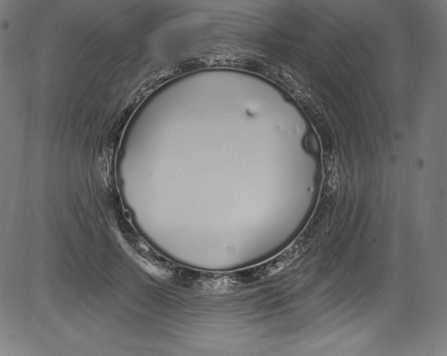 X0000081400695200702020321