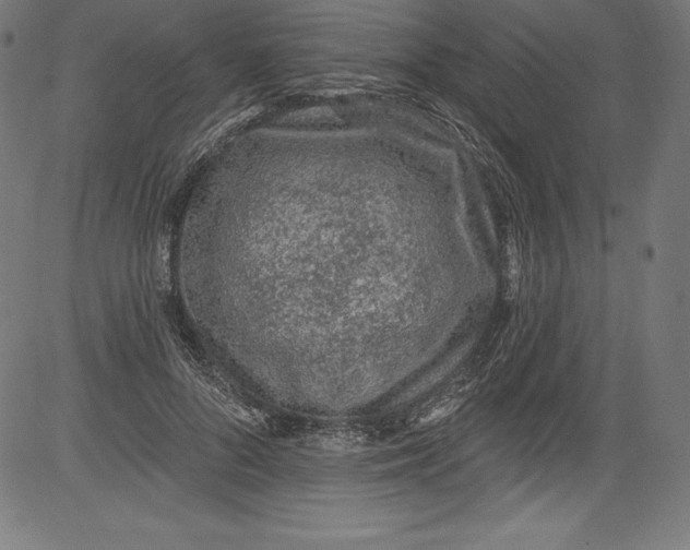 X0000081400696200702020321