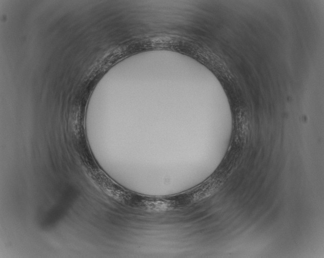 X0000081400698200702020321