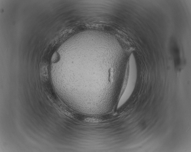 X0000081400699200702020321