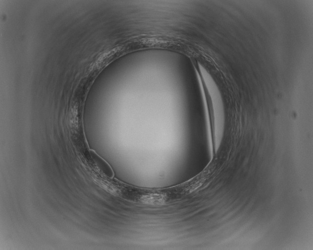 X0000081400700200702020321