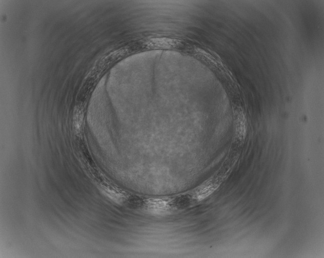 X0000081400701200702020321