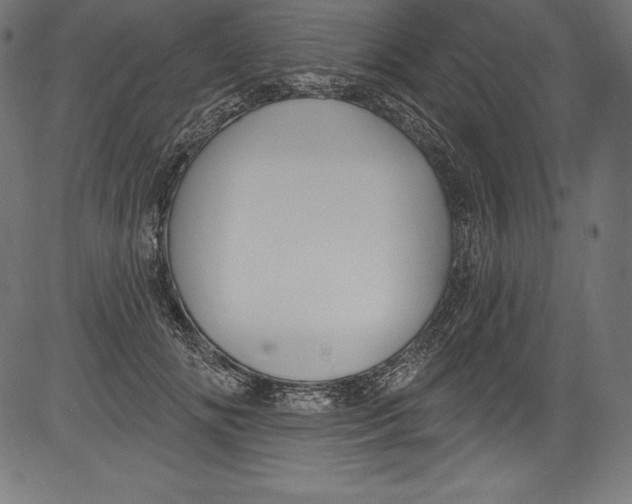 X0000081400702200702020321