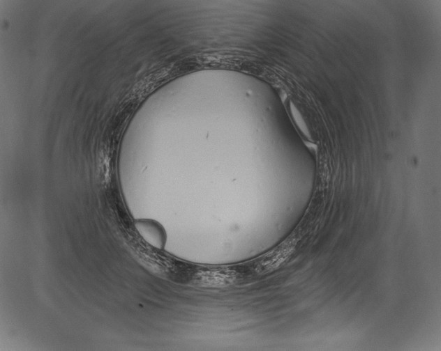 X0000081400703200702020321