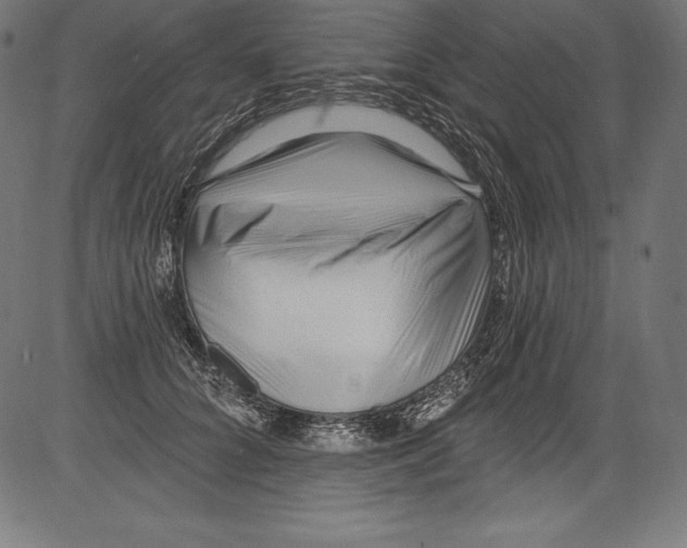 X0000081400704200702020321