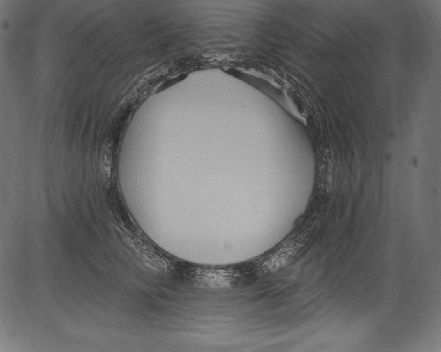 X0000081400710200702020320