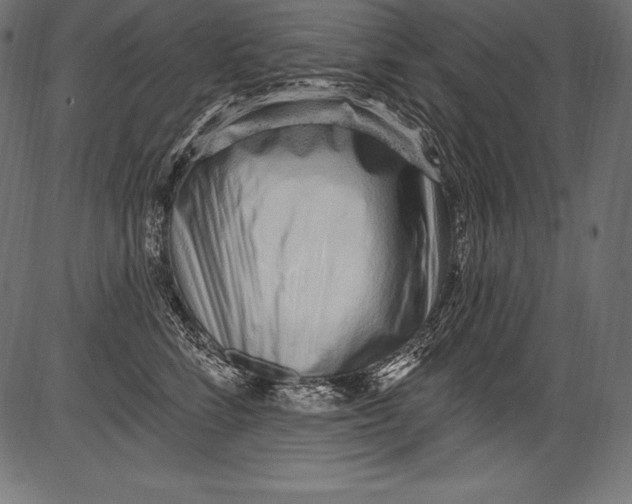 X0000081400712200702020320