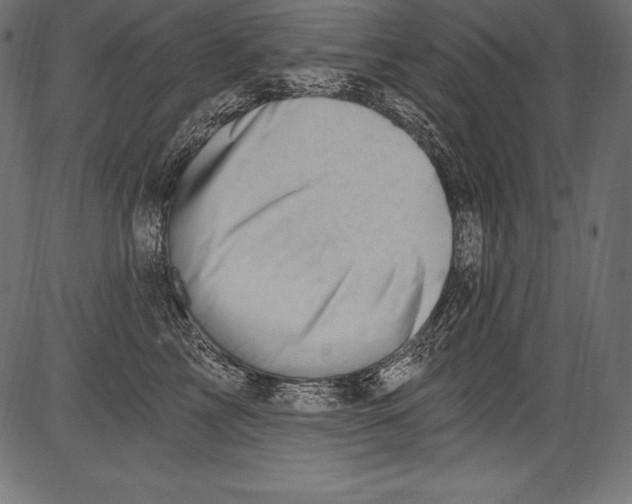 X0000081400713200702020320
