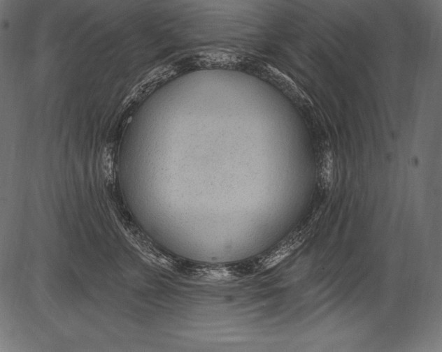 X0000081400715200702020320