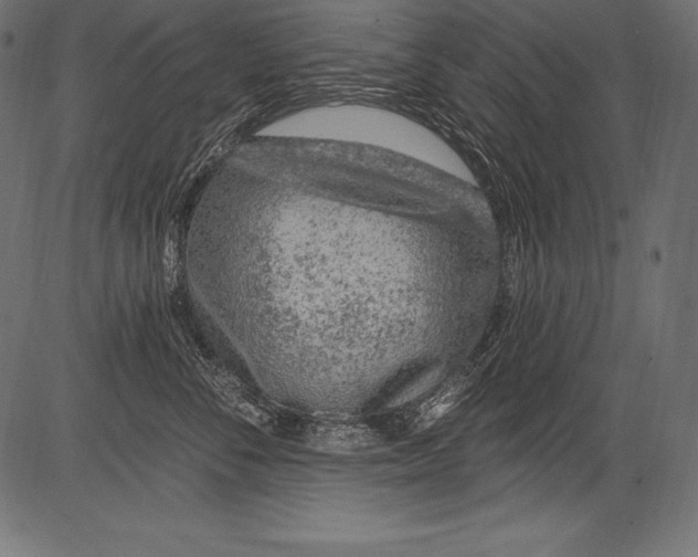 X0000081400716200702020320