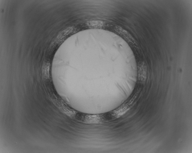 X0000081400717200702020320