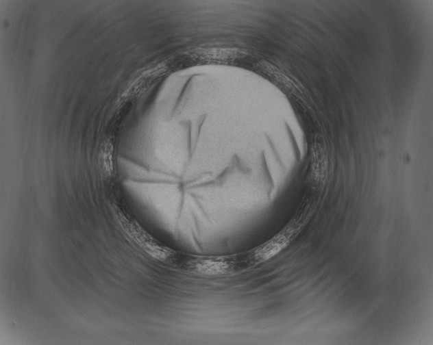 X0000081400718200702020320