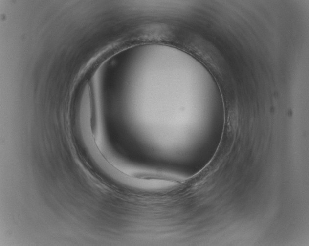 X0000081400722200702020319