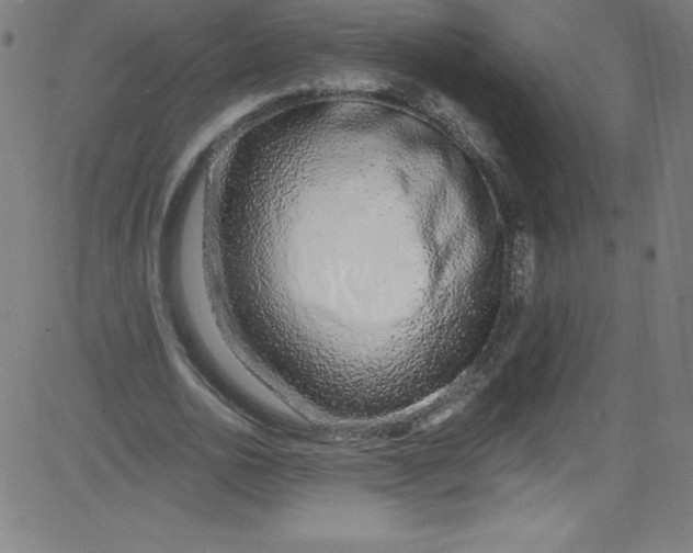 X0000081400726200702020320