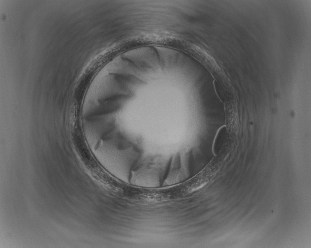 X0000081400736200702020320