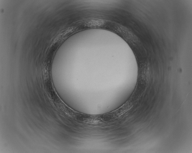 X0000081400743200702020320