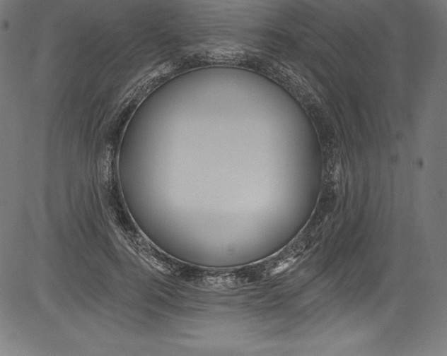 X0000081400744200702020320