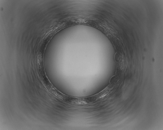 X0000081400747200702020320