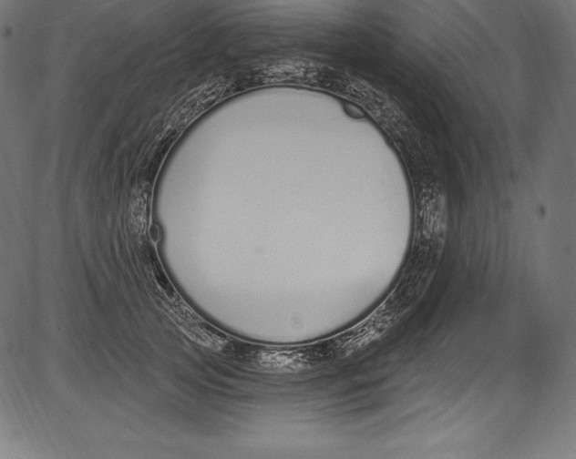X0000081400753200702020320
