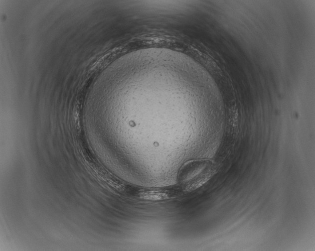 X0000081400754200702020320