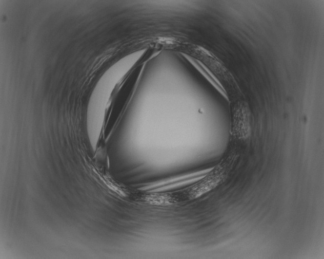 X0000081400762200702020320