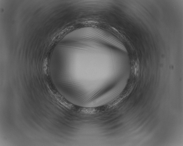 X0000081400767200702020320