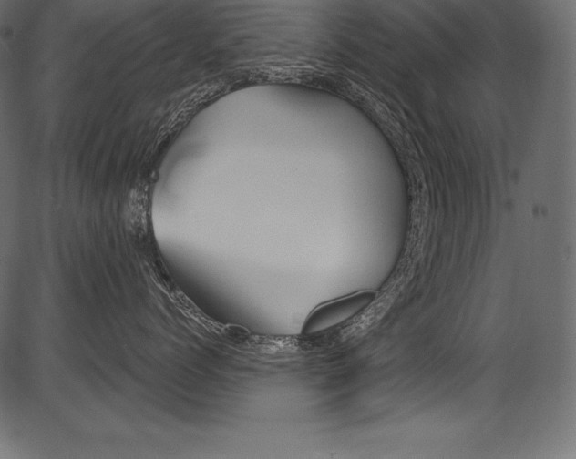 X0000081400768200702020320
