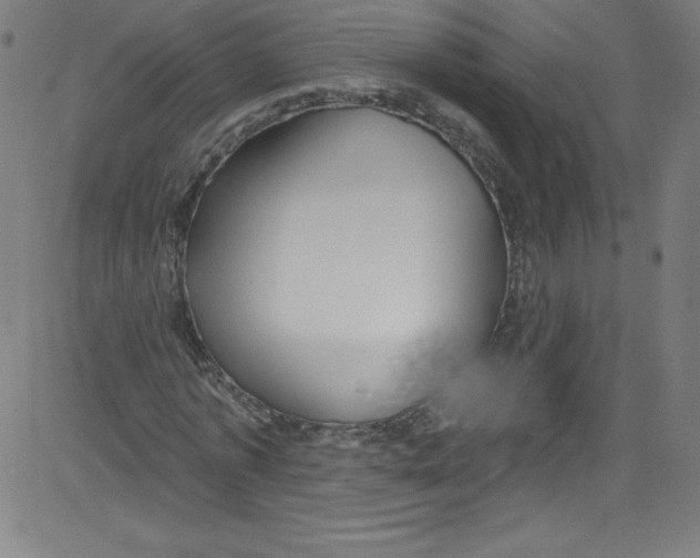 X0000081400773200702020319
