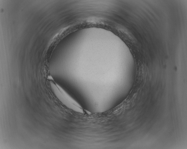 X0000081400776200702020319