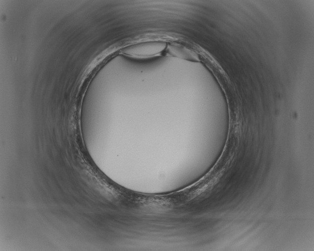 X0000081400786200702020319