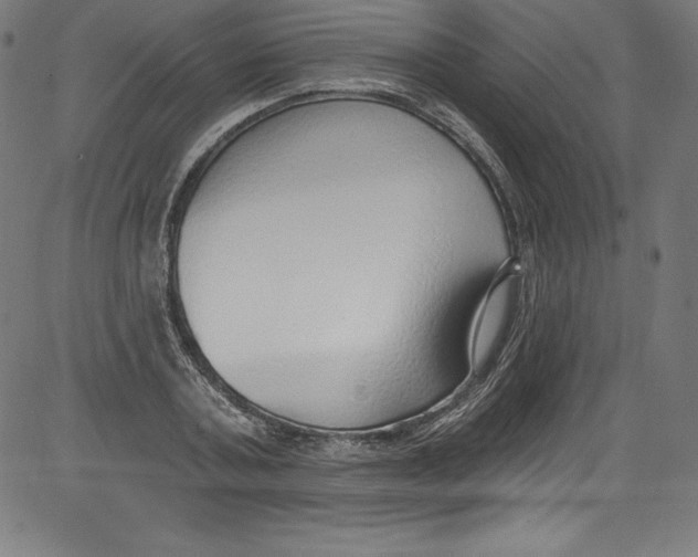 X0000081400787200702020319