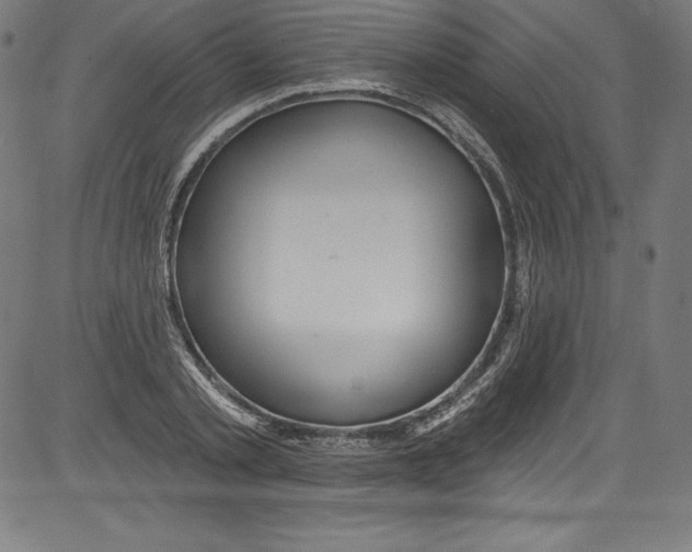 X0000081400789200702020319