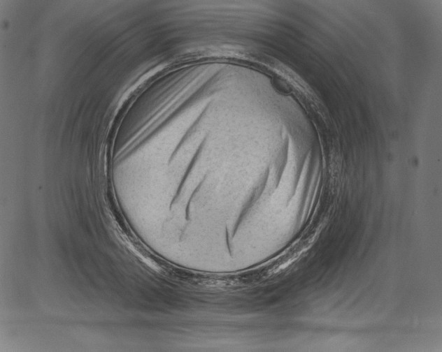 X0000081400790200702020319