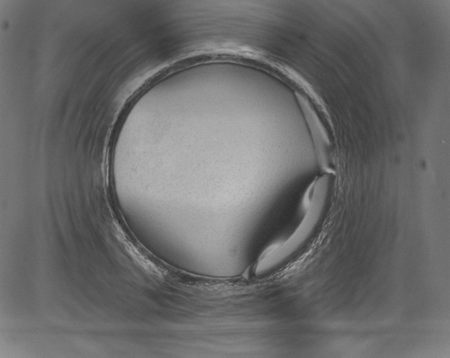 X0000081400791200702020319
