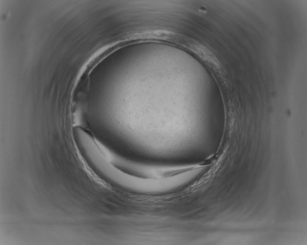 X0000081400792200702020319