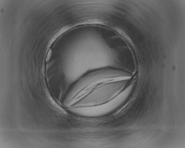X0000081400797200702020319