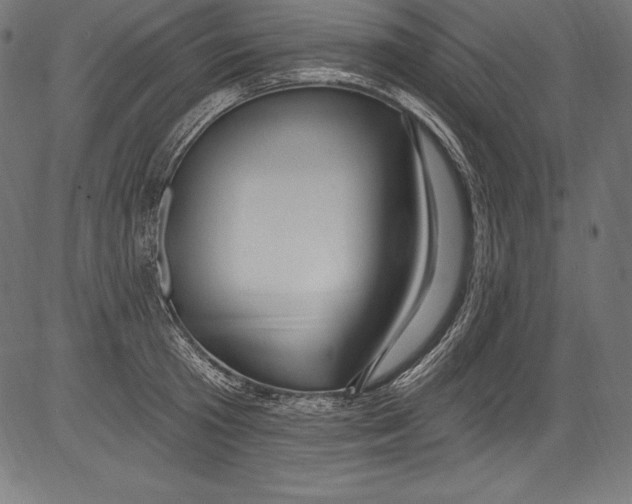 X0000081400801200702020319