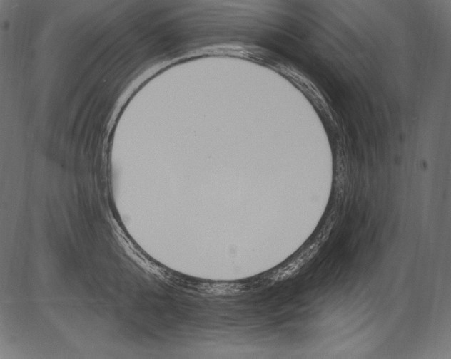 X0000081400808200702020319