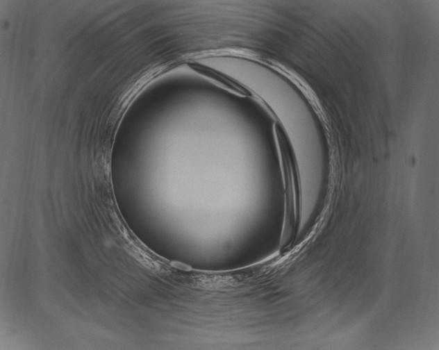 X0000081400809200702020319