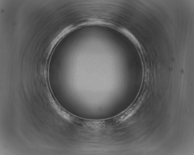 X0000081400813200702020319