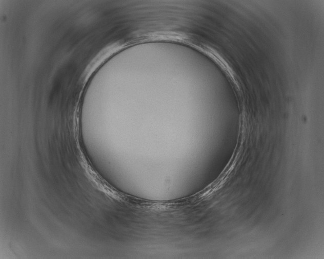 X0000081400814200702020319